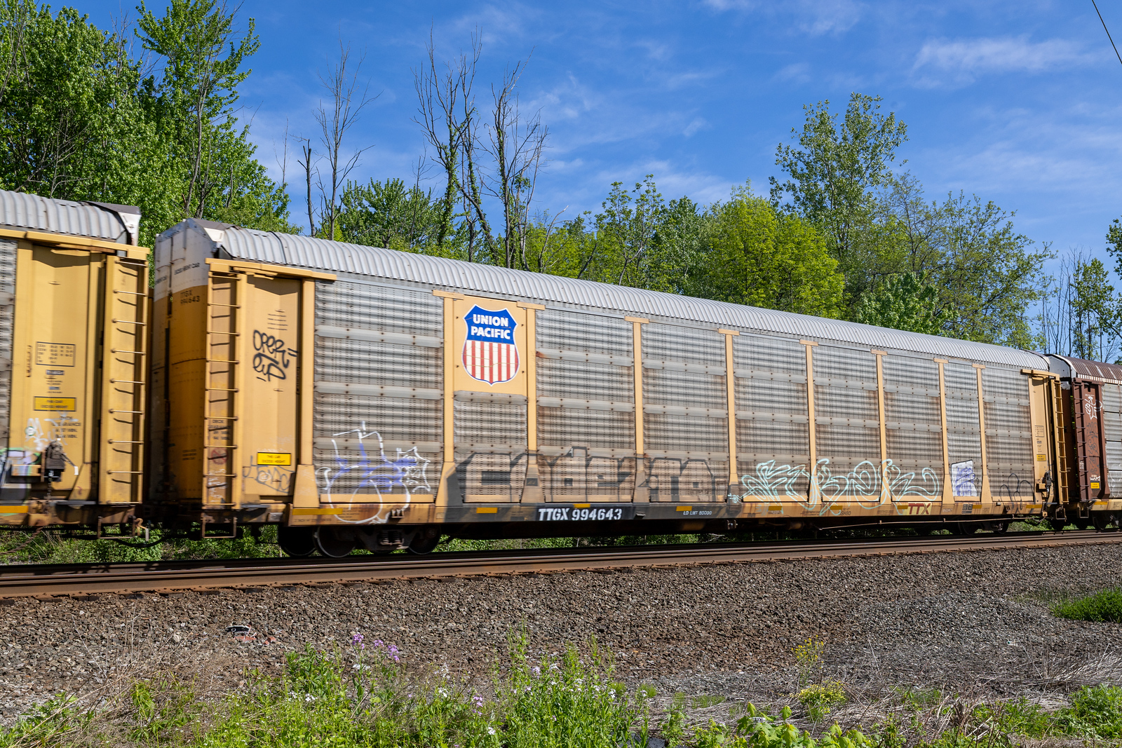 TTGX 994643