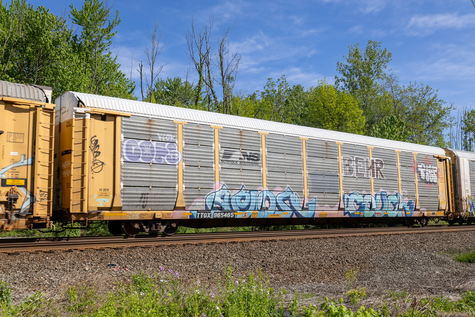 TTGX 965465