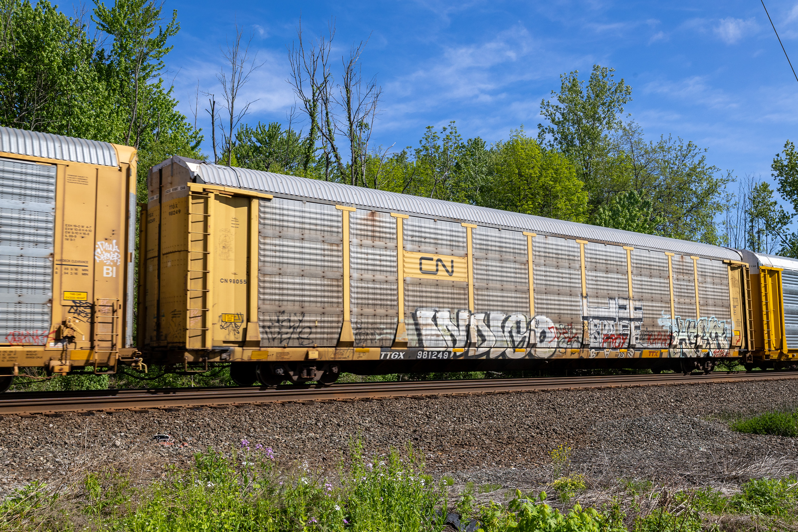 TTGX 981249