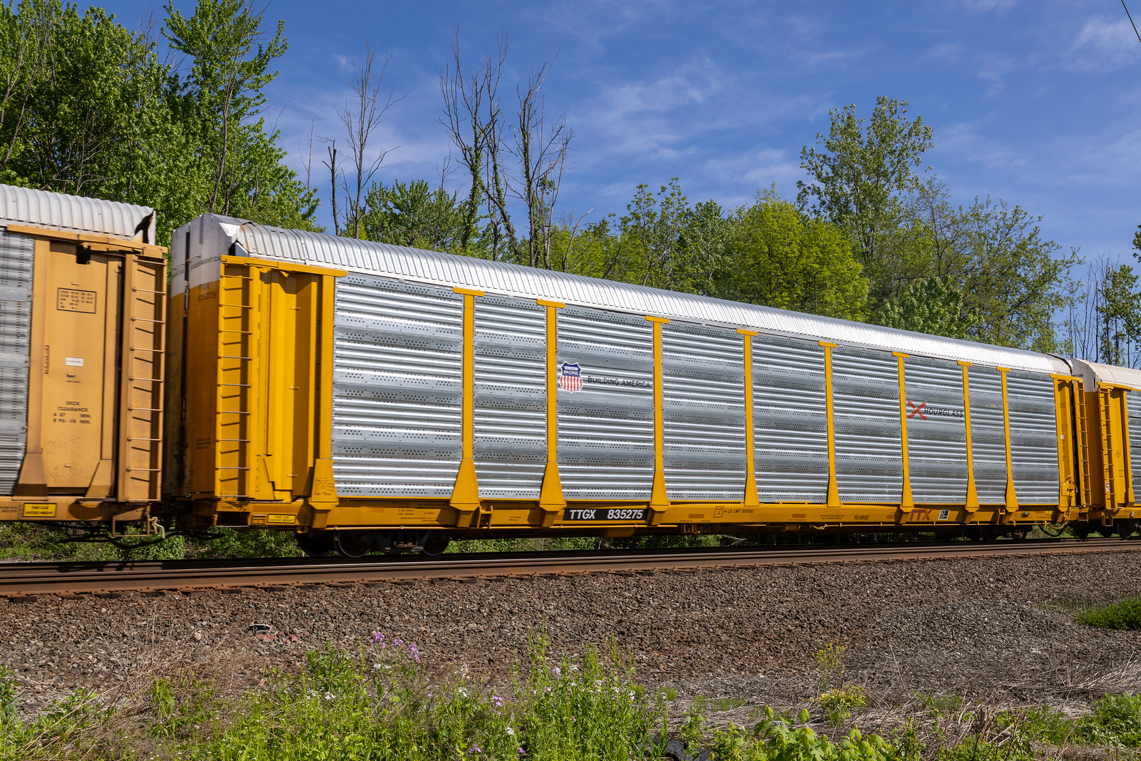 TTGX 835275