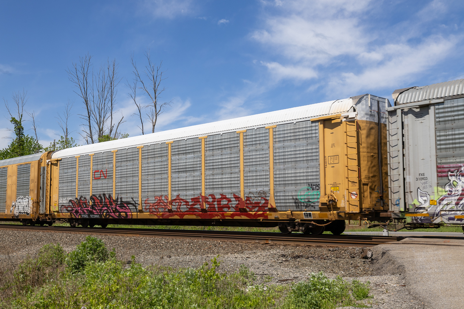 TTGX 922001