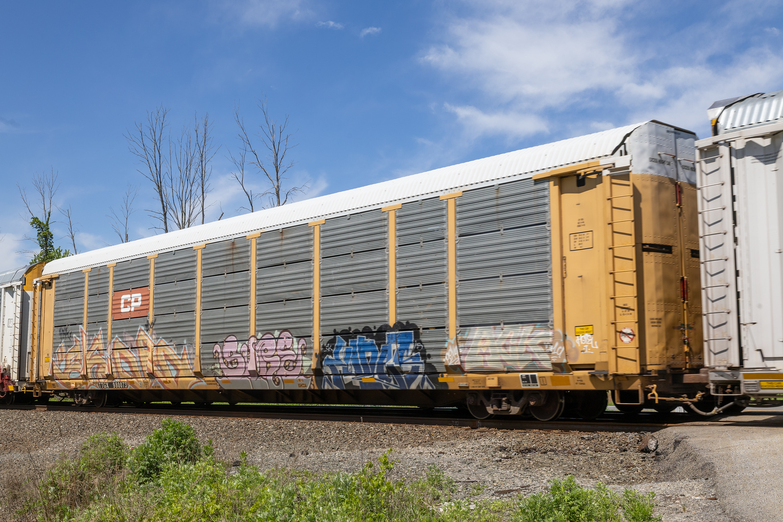 TTGX 980073