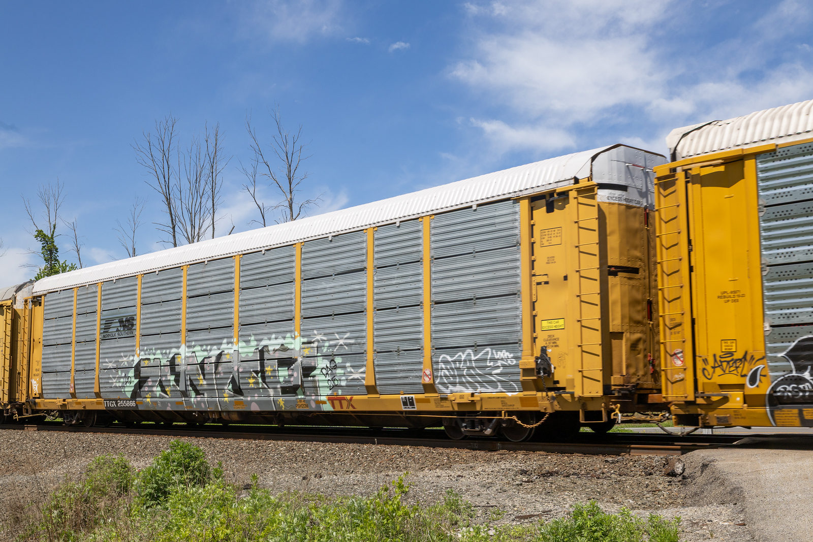 TTGX 255866