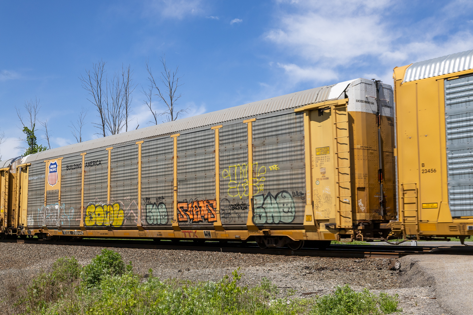 TTGX 700442