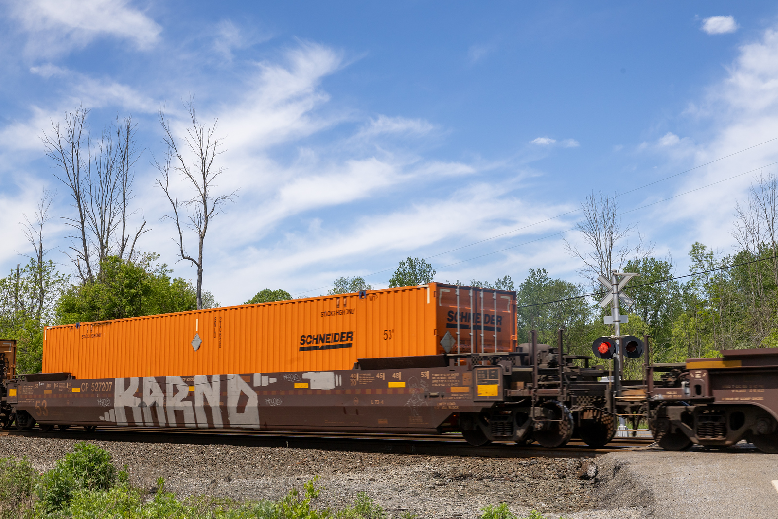 CP 527207