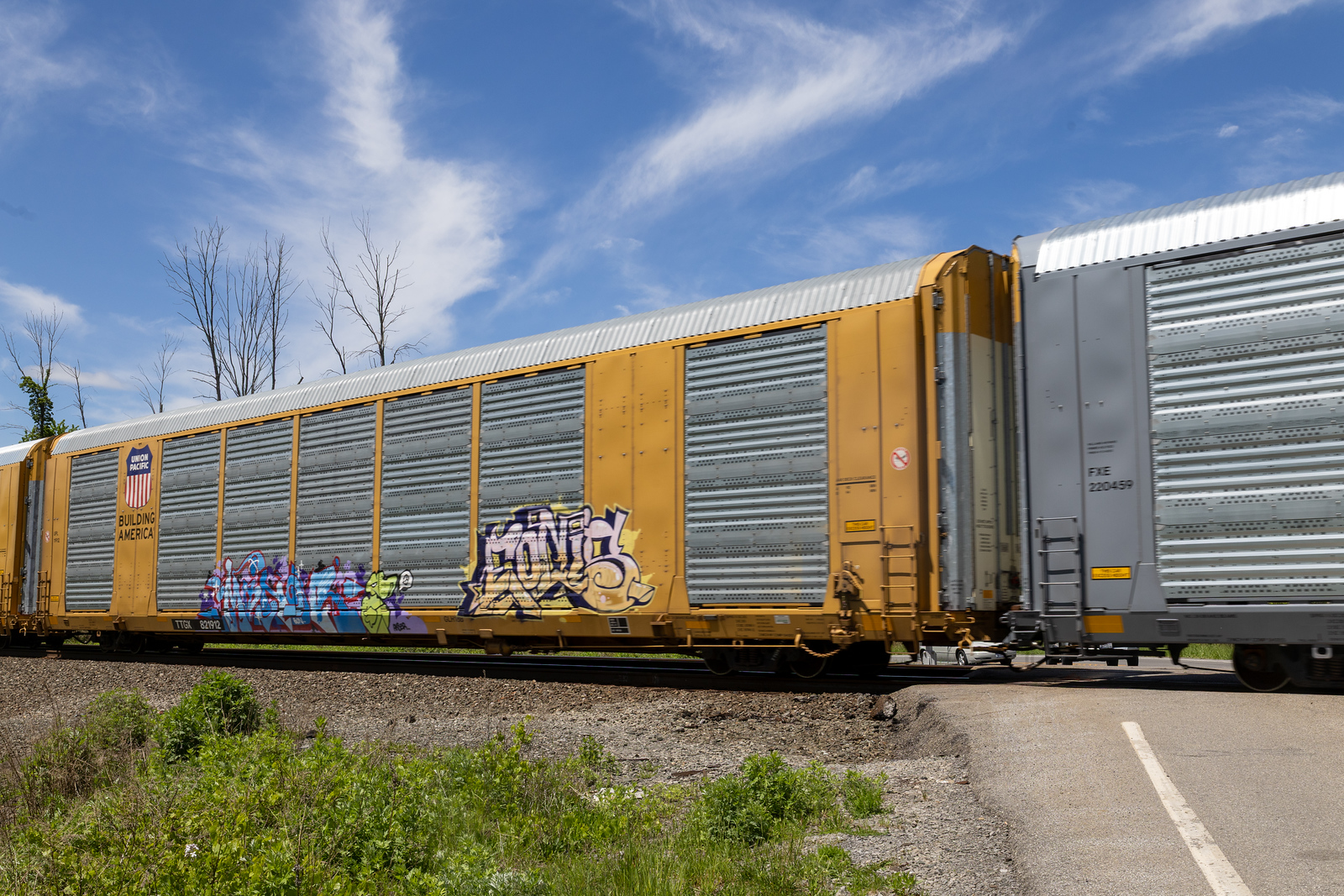 TTGX 821912