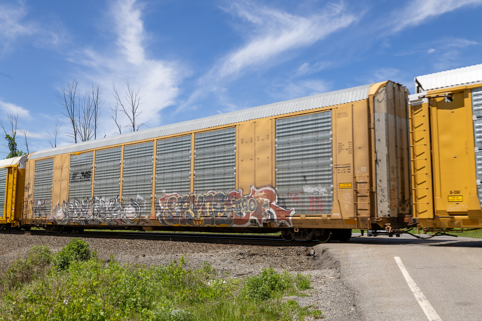 TTGX 691492