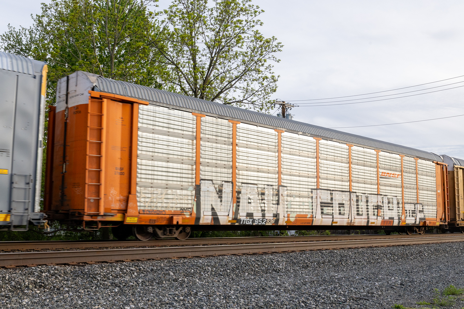 TTGX 952936