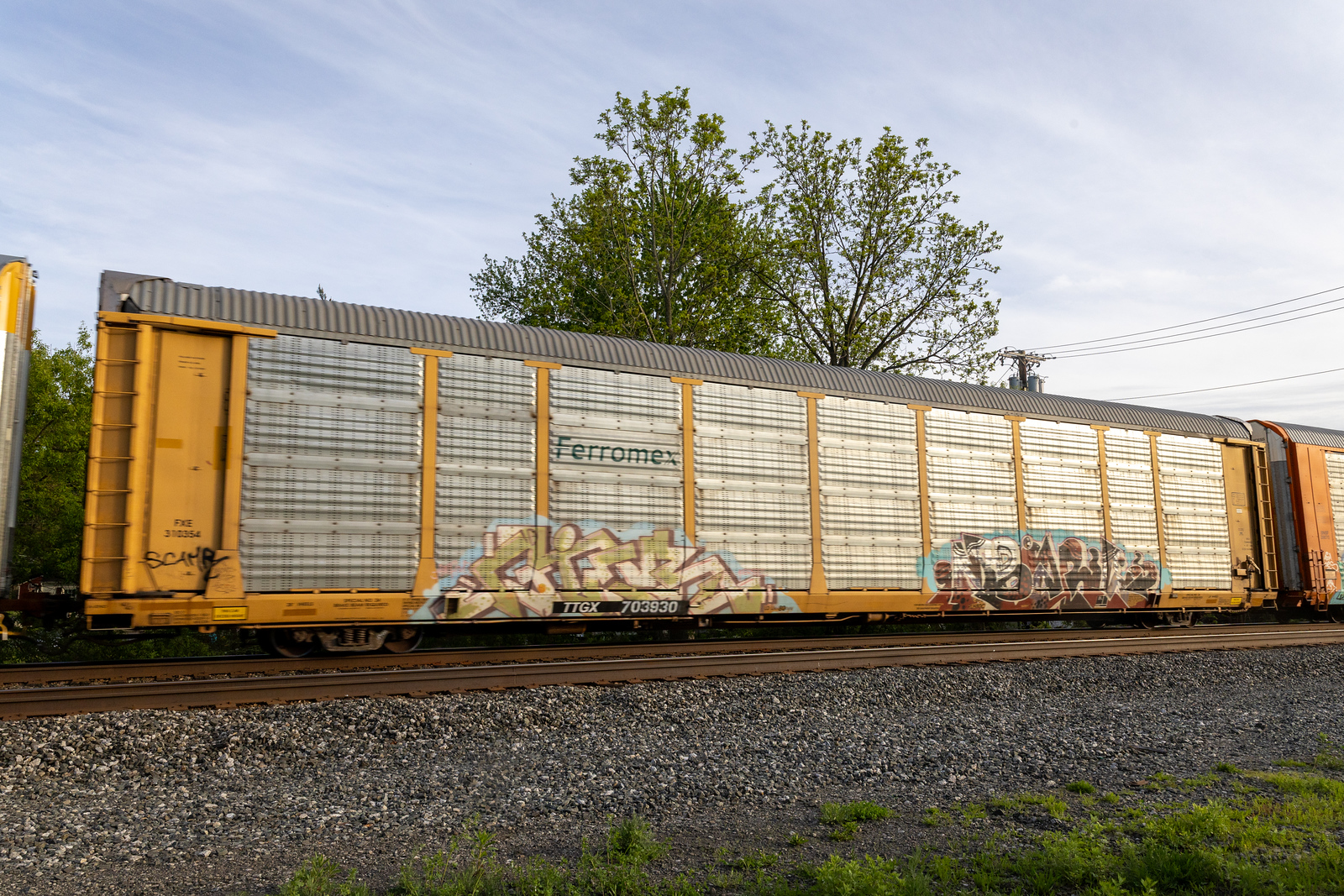 TTGX 703930