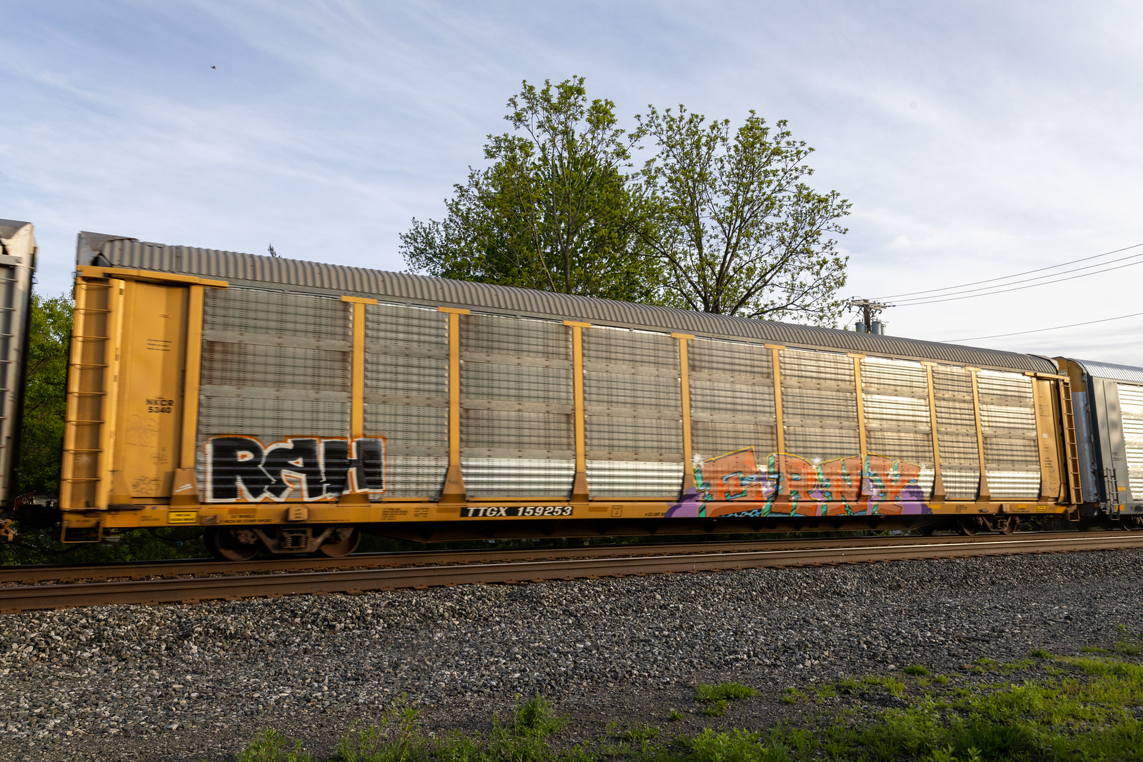 TTGX 159253
