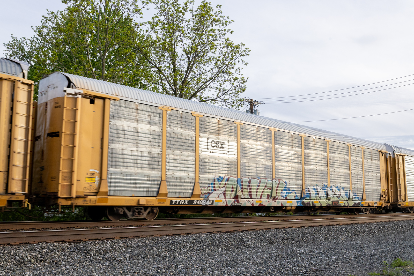 TTGX 940648