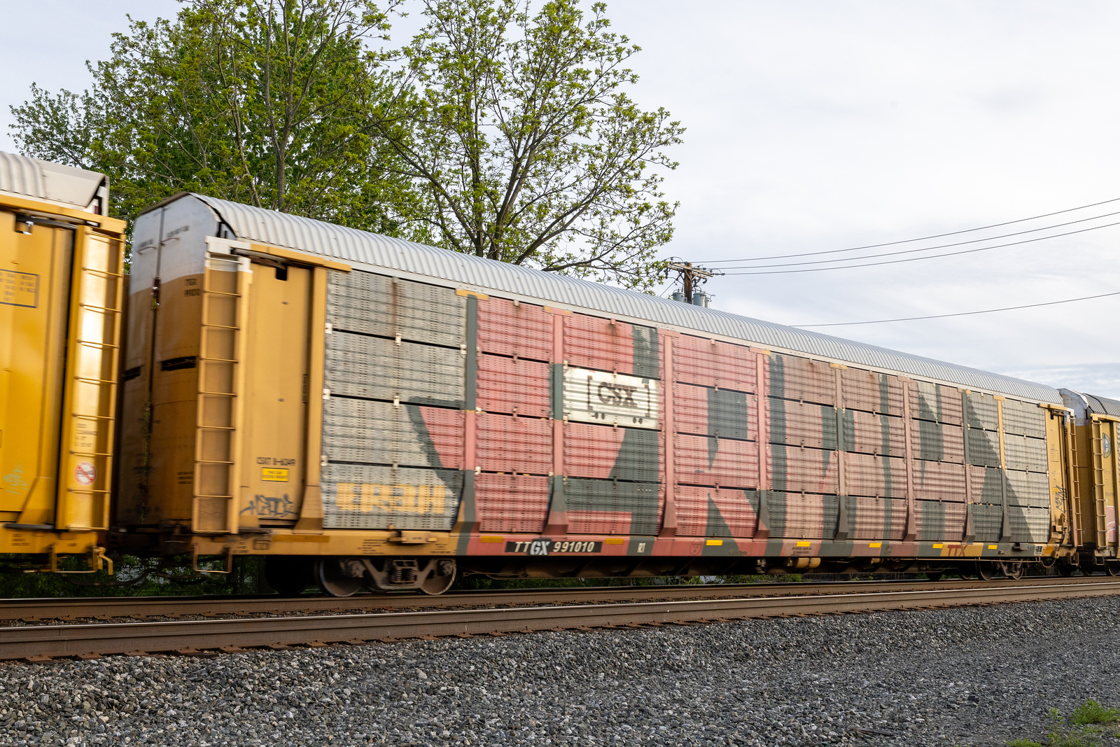 TTGX 991010