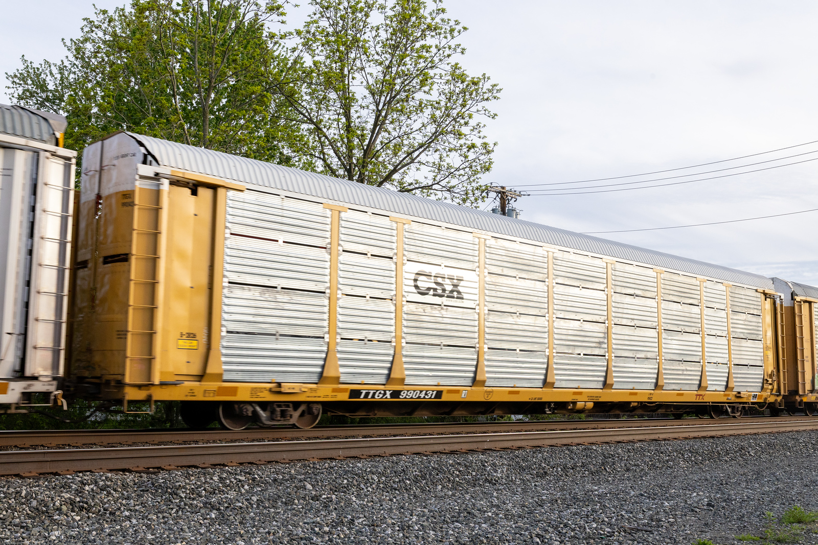 TTGX 990431