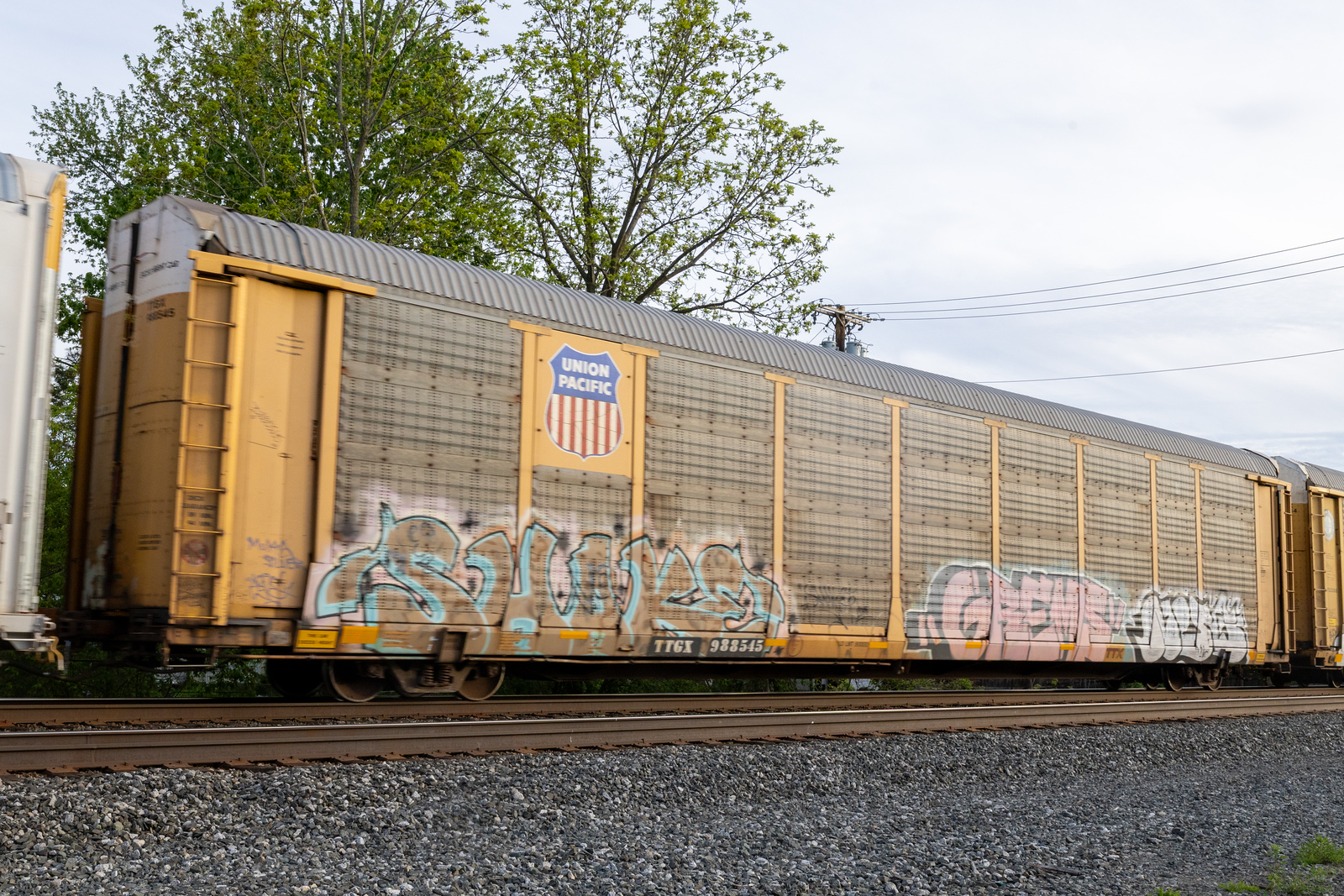 TTGX 988545