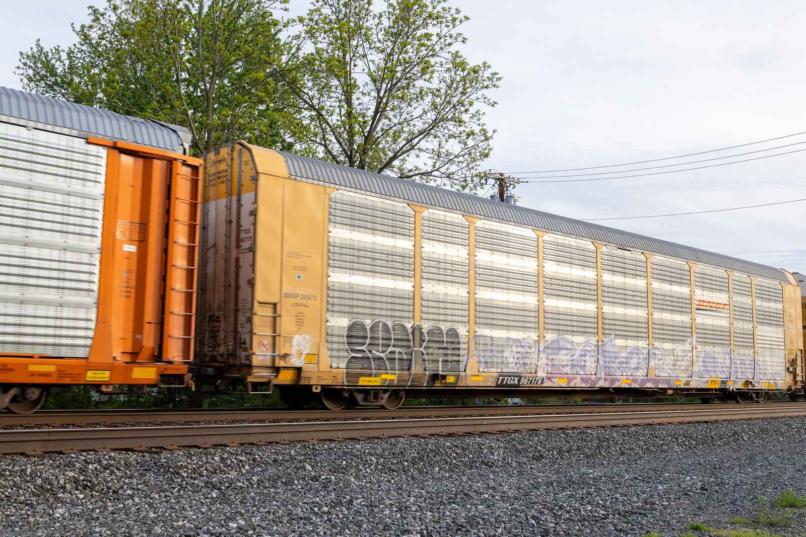 TTGX 967176