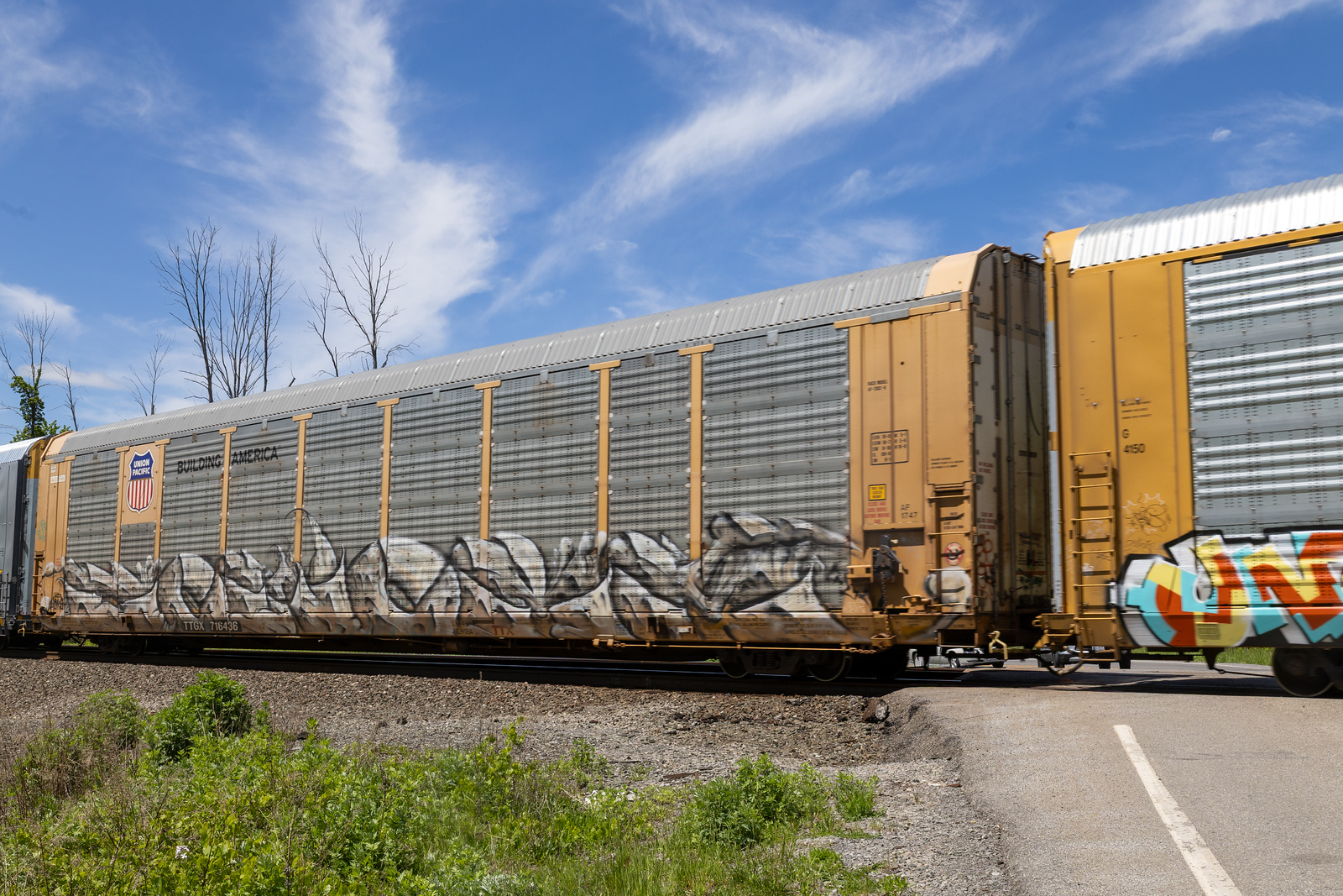 TTGX 716436