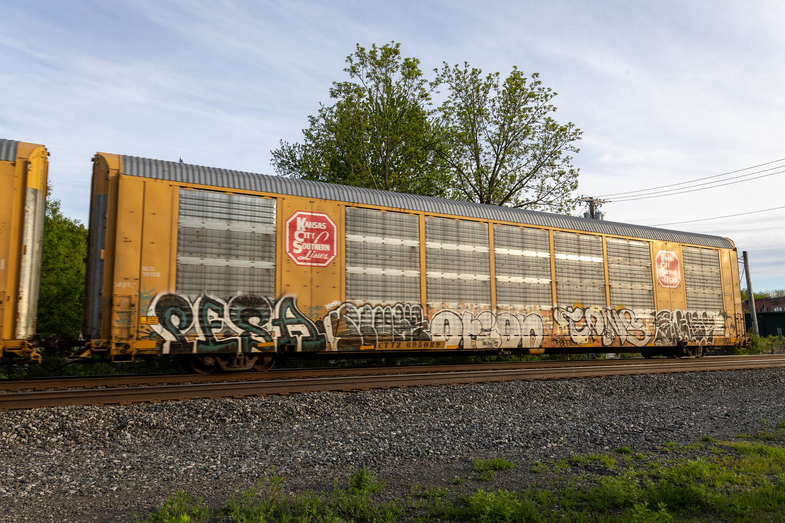 CTTX 695089