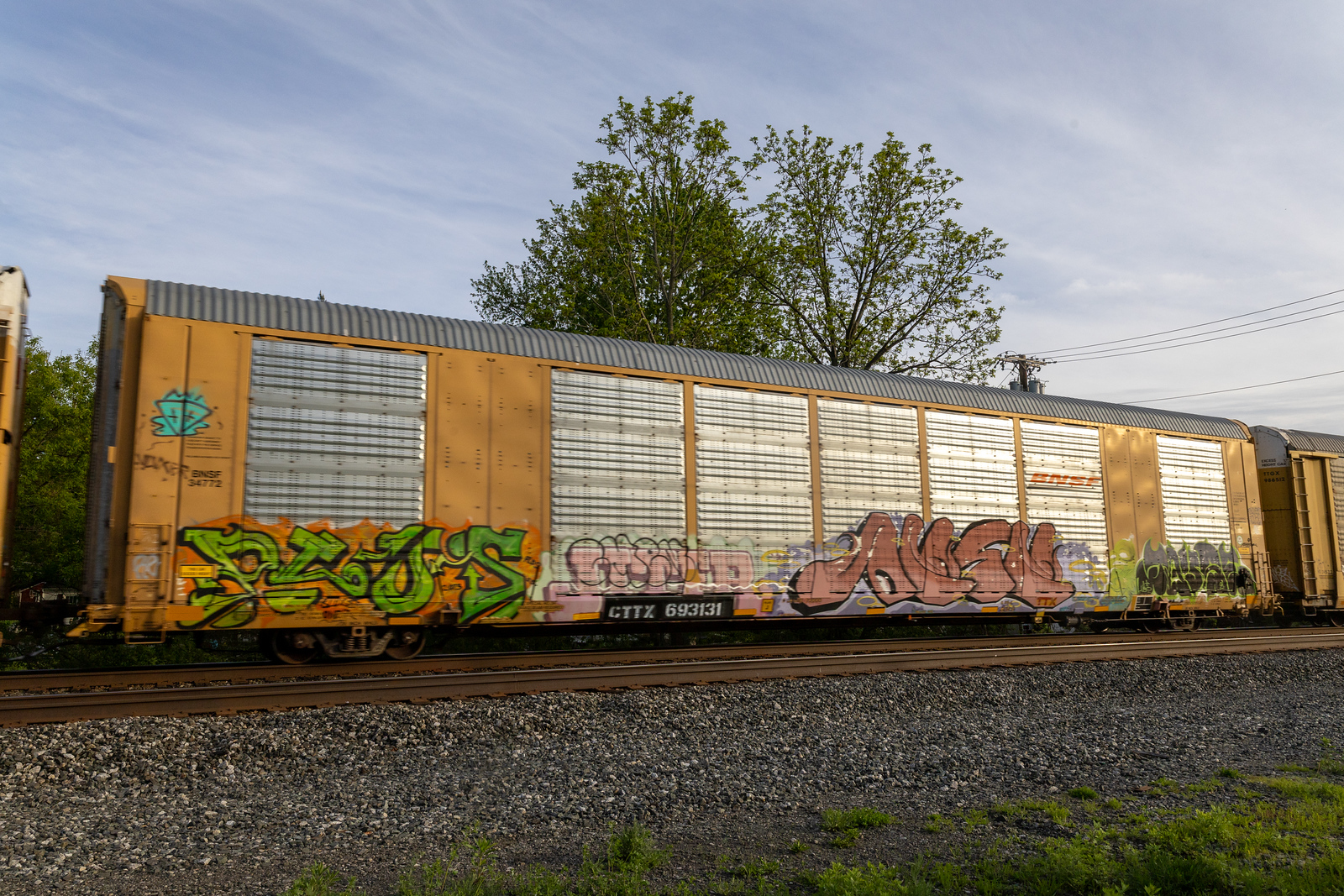 CTTX 693131