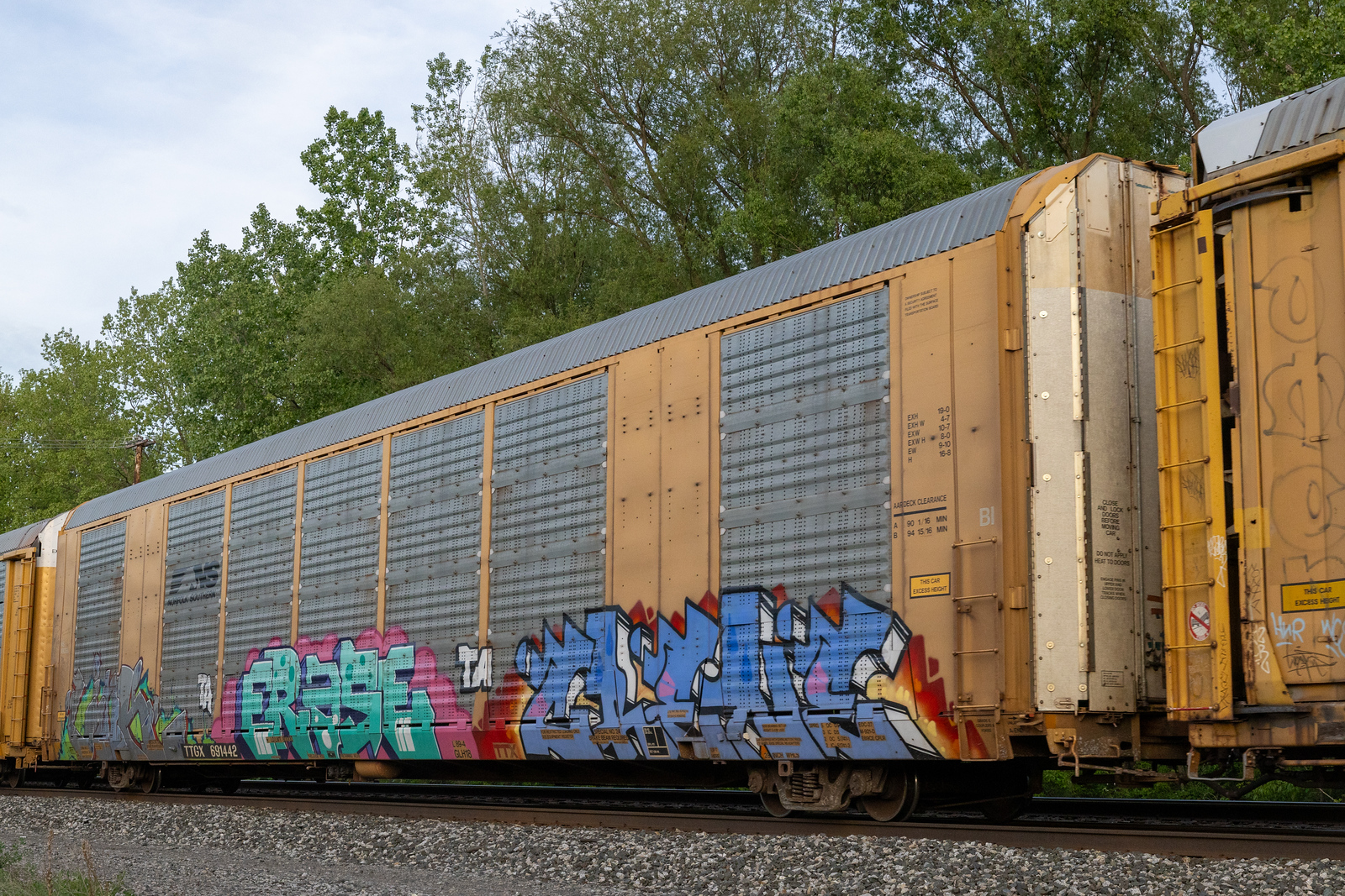 TTGX 691442