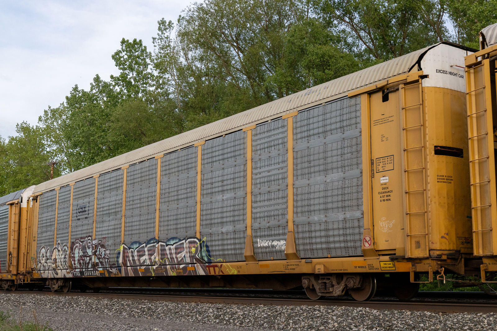 TTGX 156695