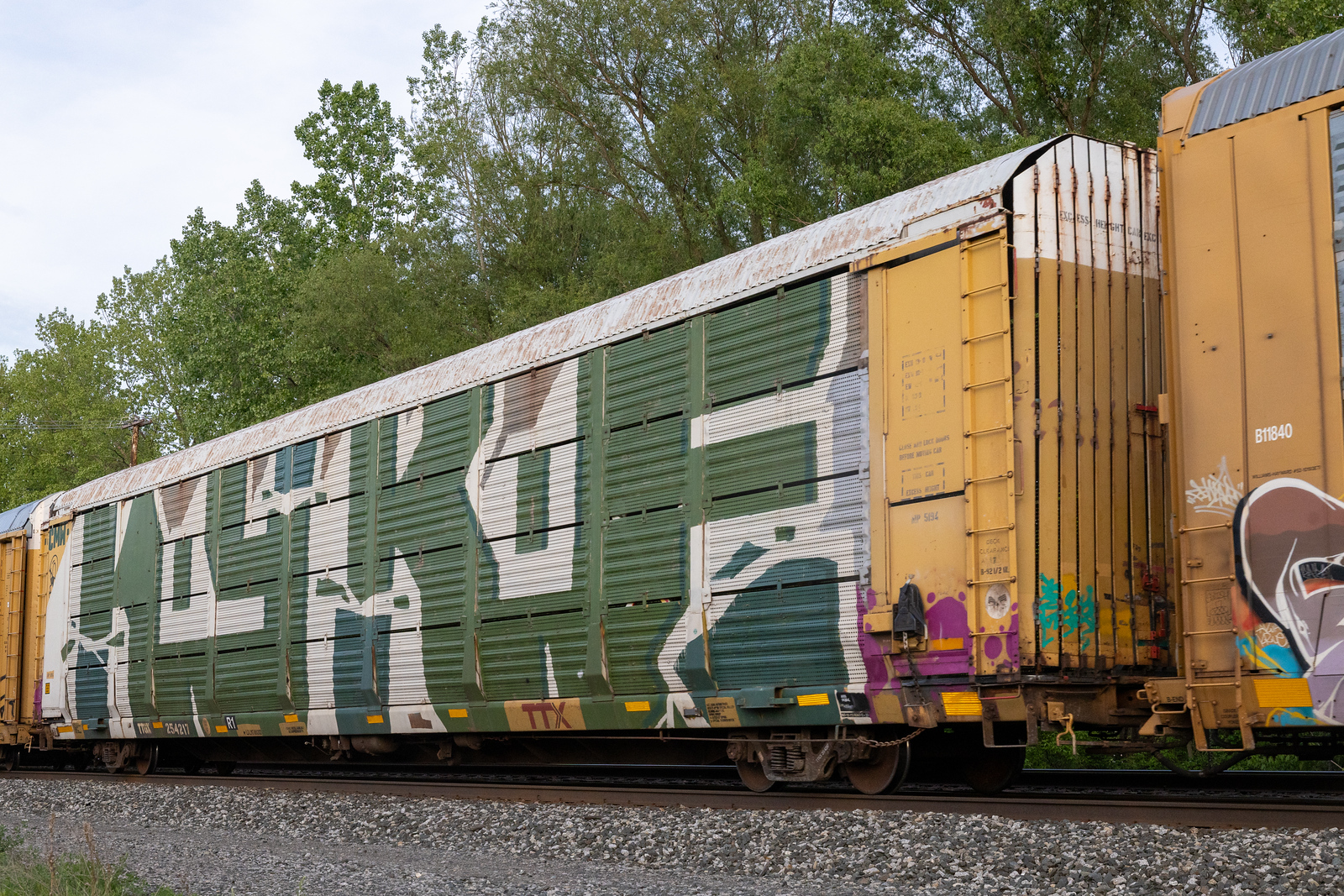 TTGX 254217