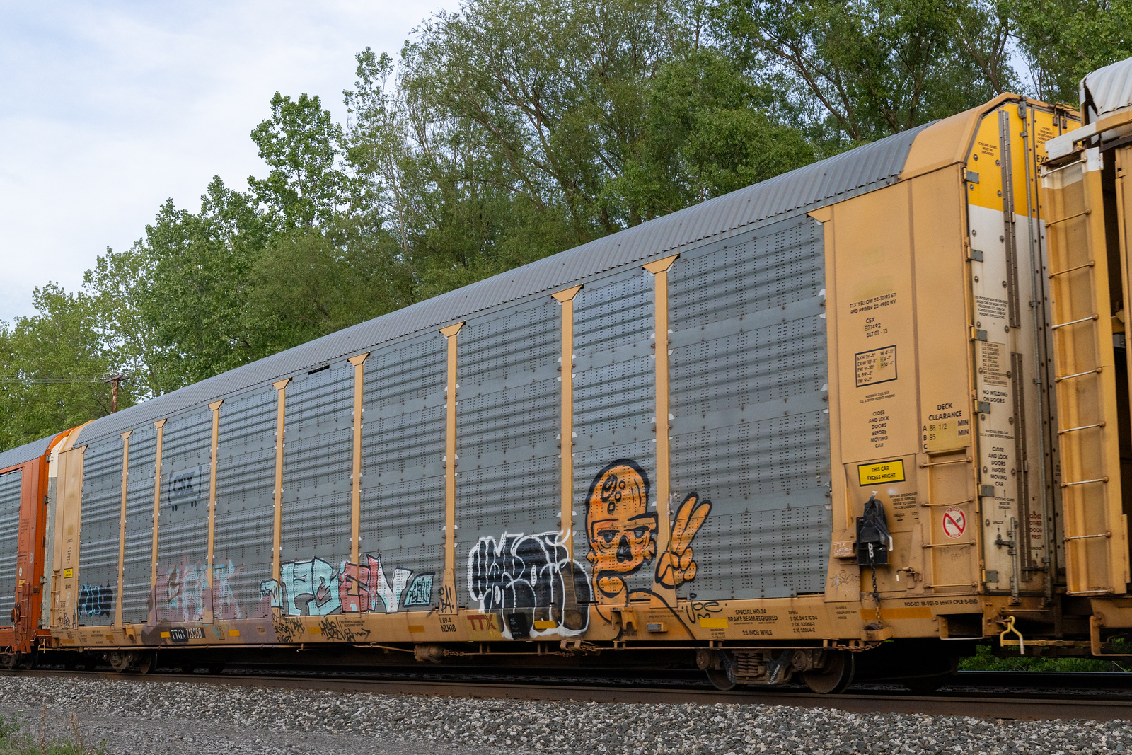 TTGX 715360