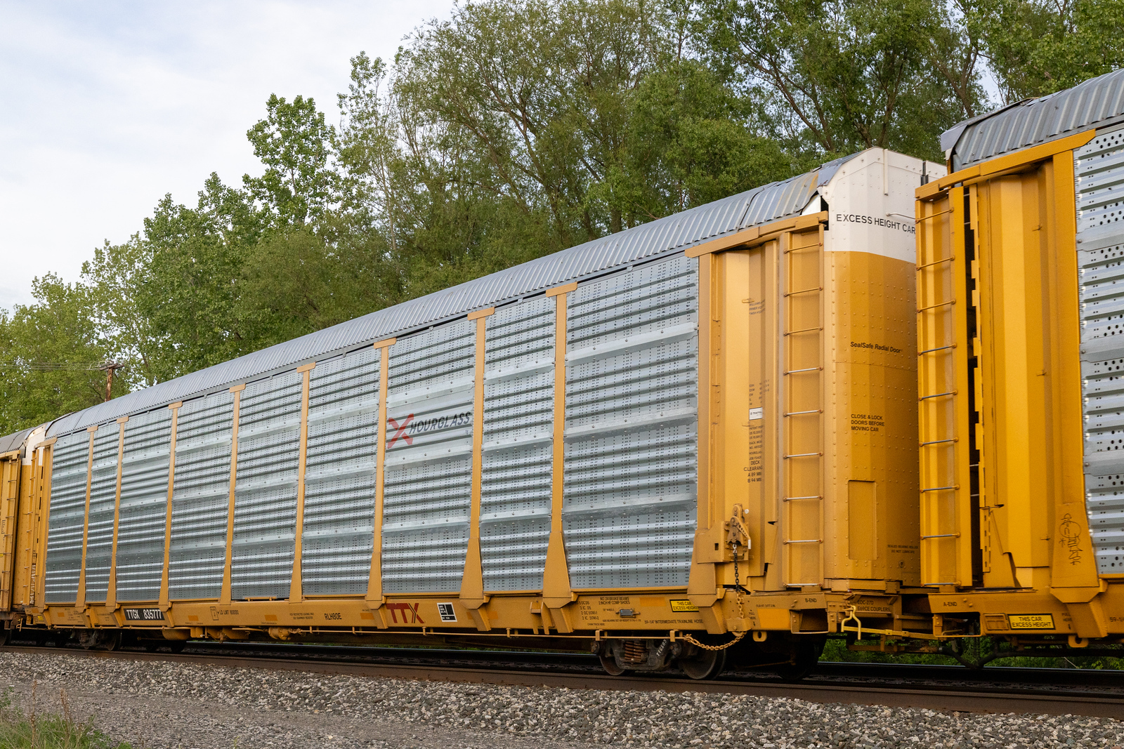 TTGX 835777