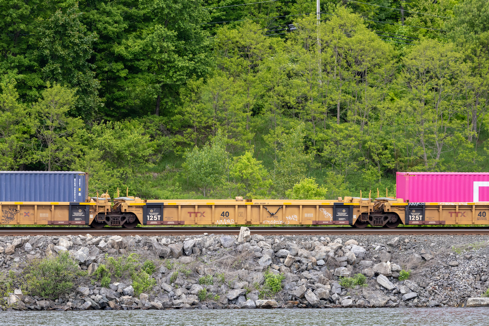 DTTX 781289E