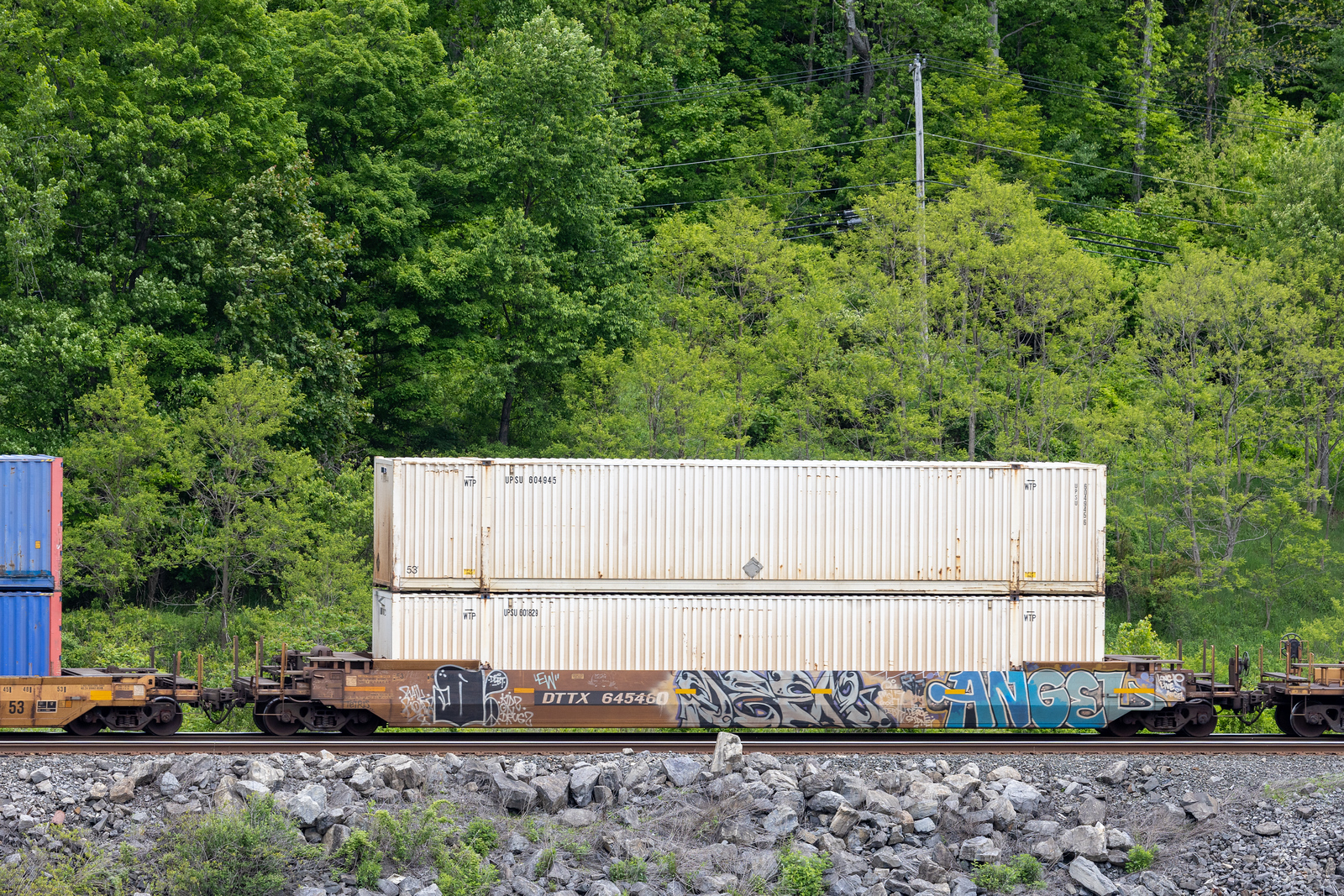 DTTX 645460