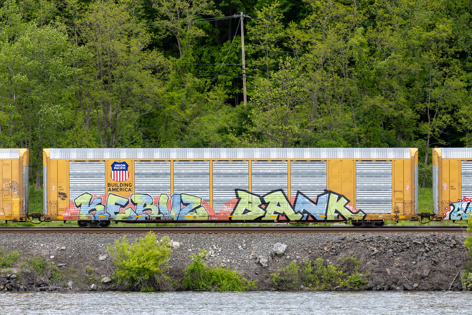 TTGX 821357