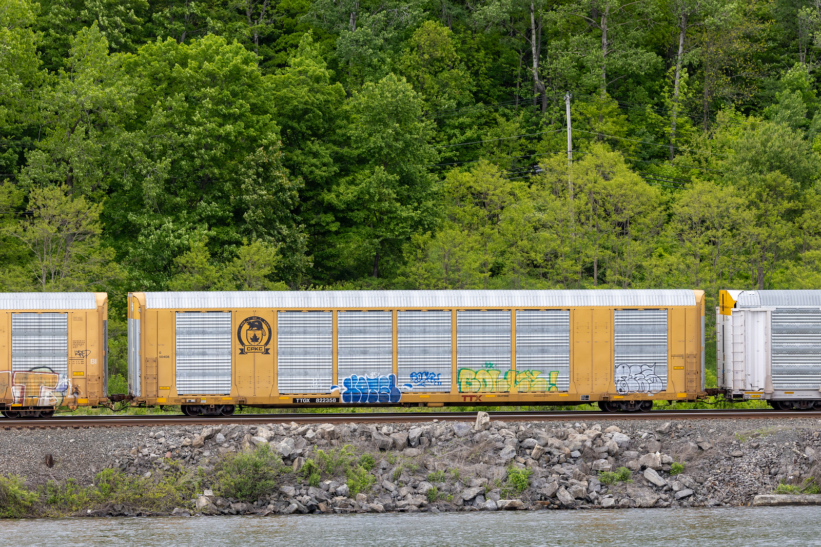 TTGX 822358