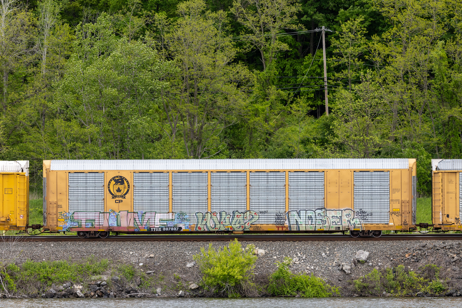TTGX 697897