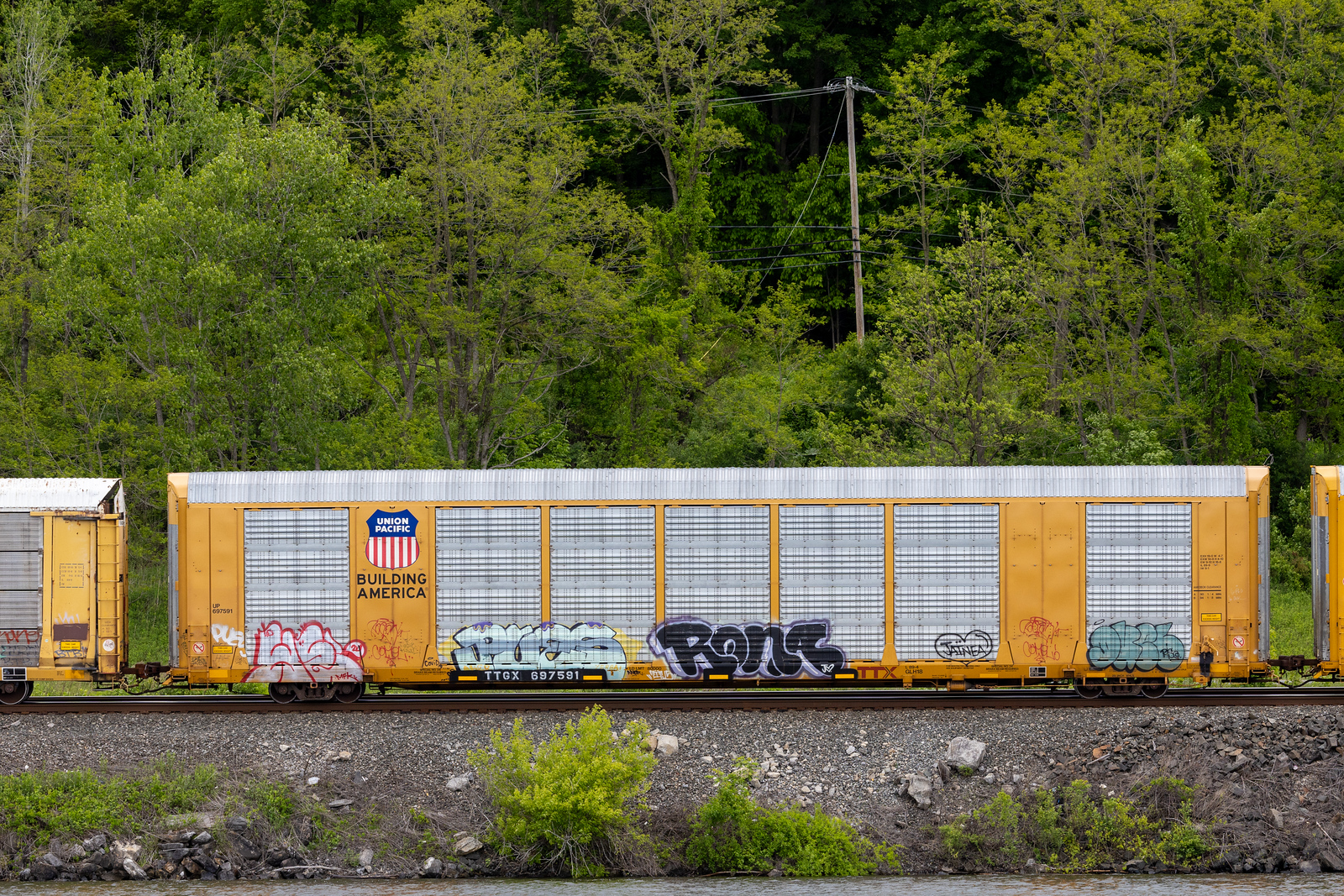 TTGX 697591