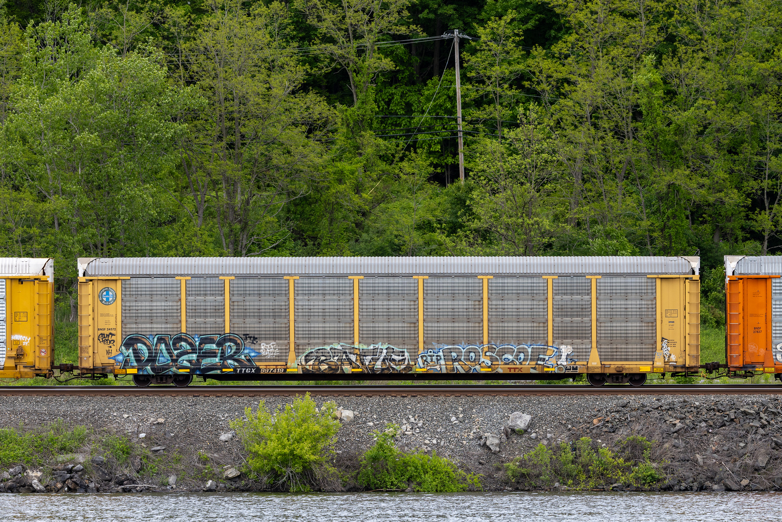 TTGX 997419