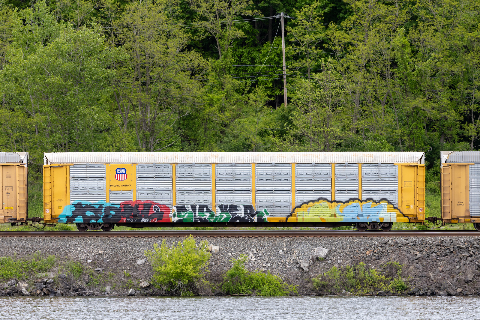TTGX 965673