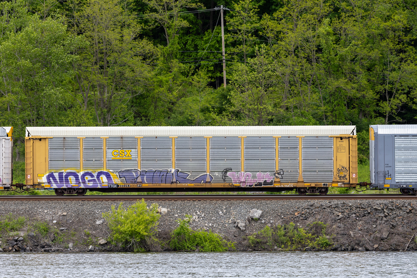 TTGX 980263