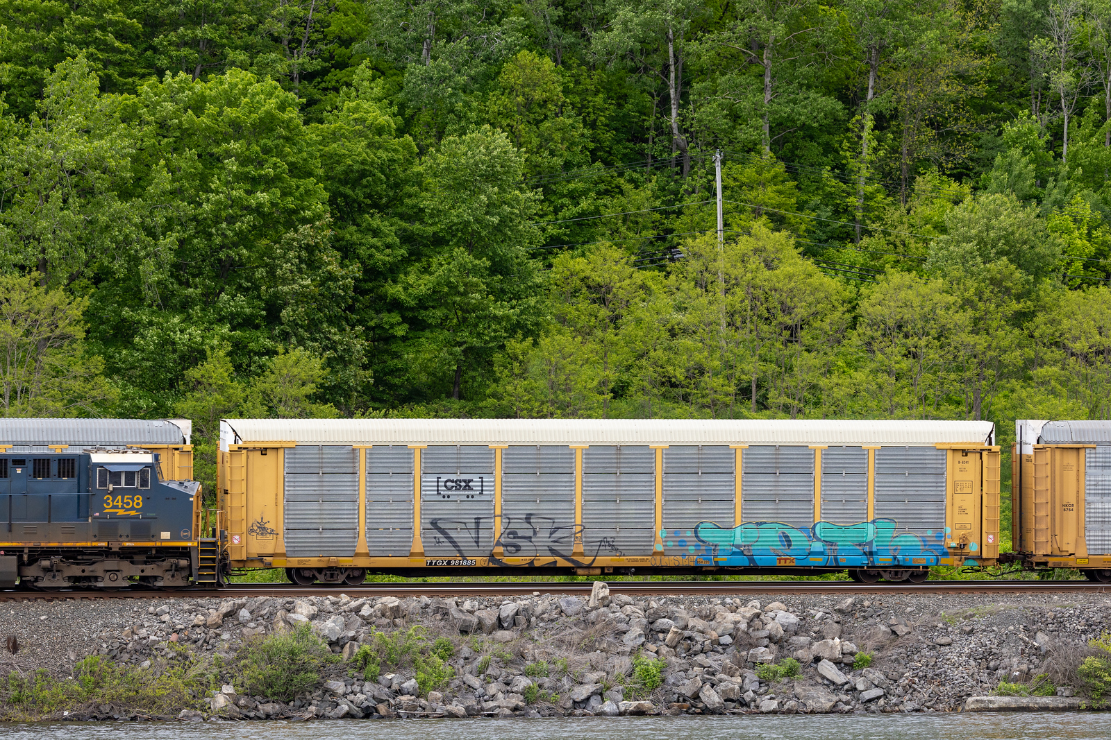 TTGX 981885
