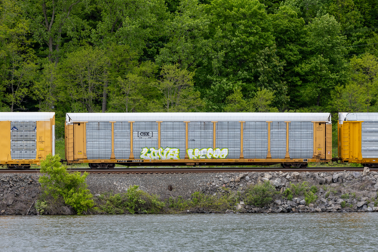 TTGX 160841