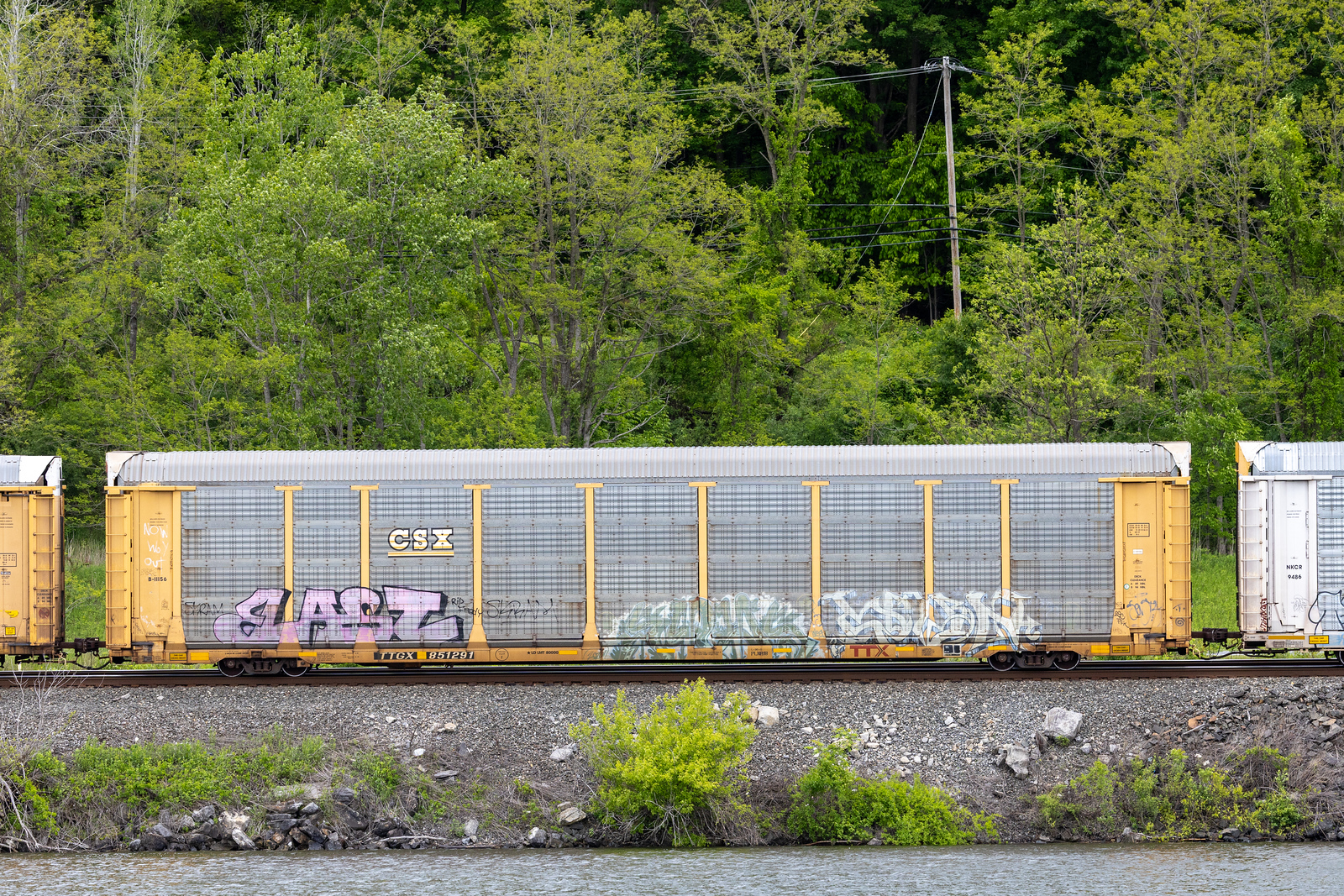 TTGX 851291