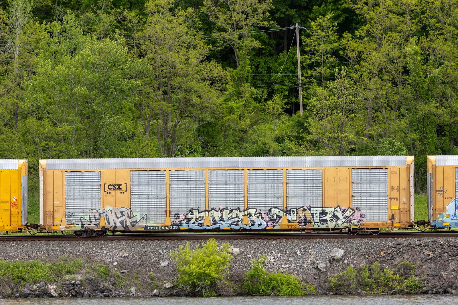 CTTX 692235