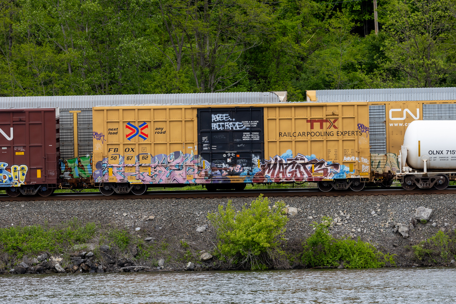 FBOX 506762