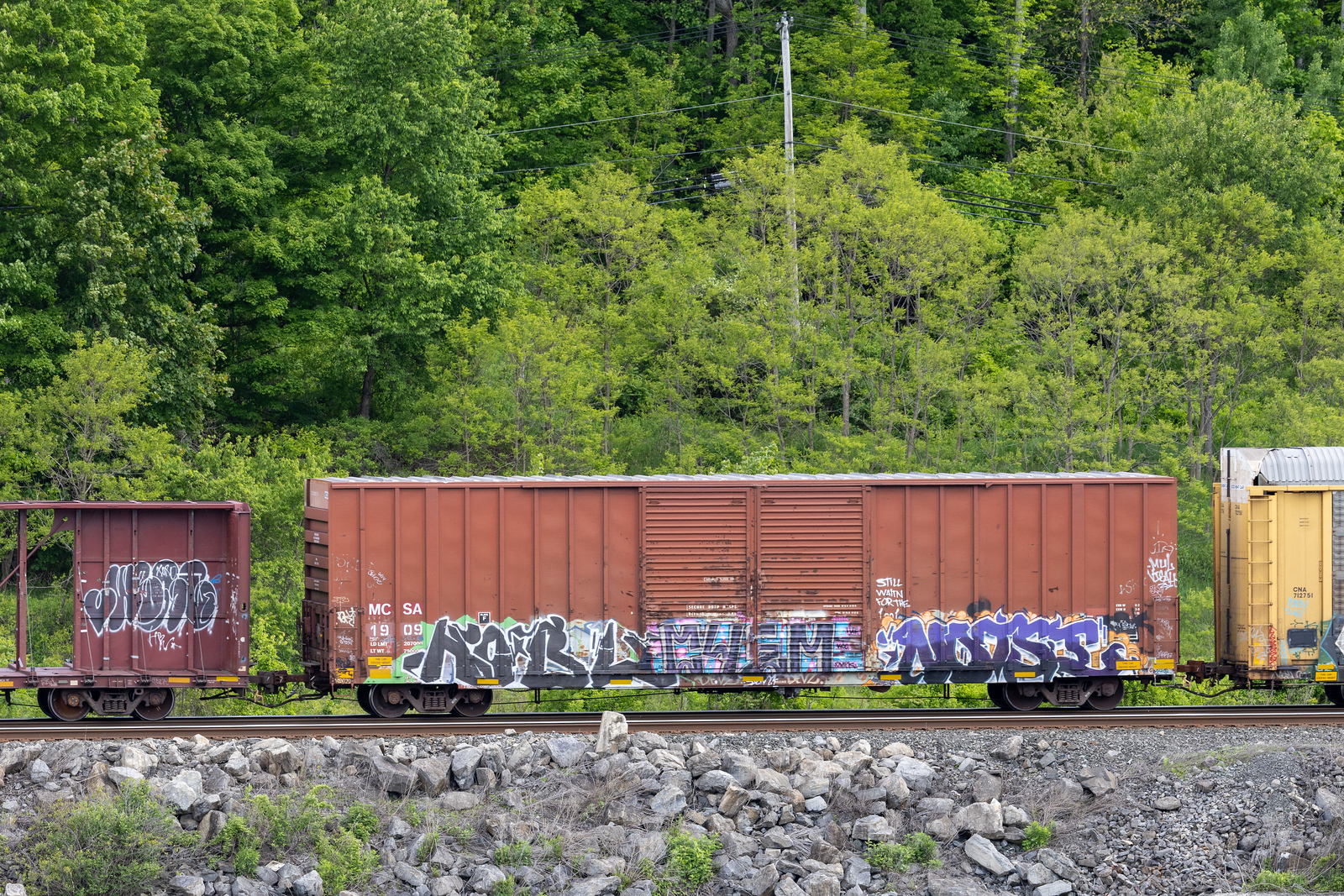 MCSA 1909x