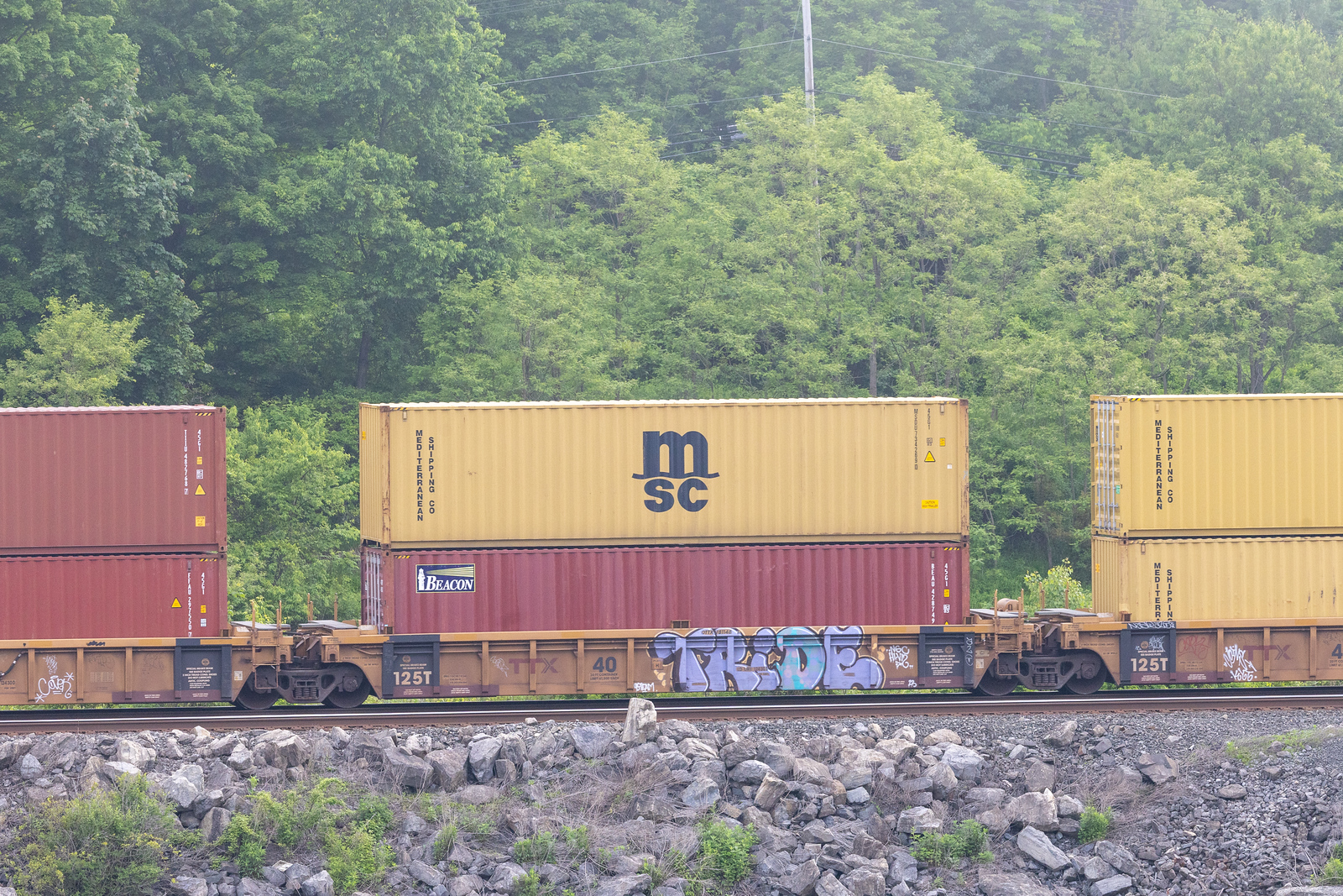 DTTX 781148D