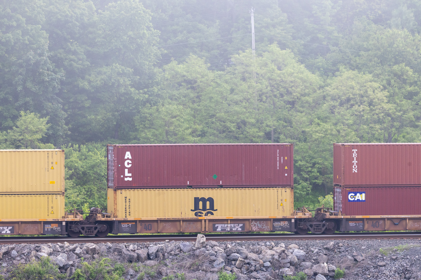 DTTX 740611D