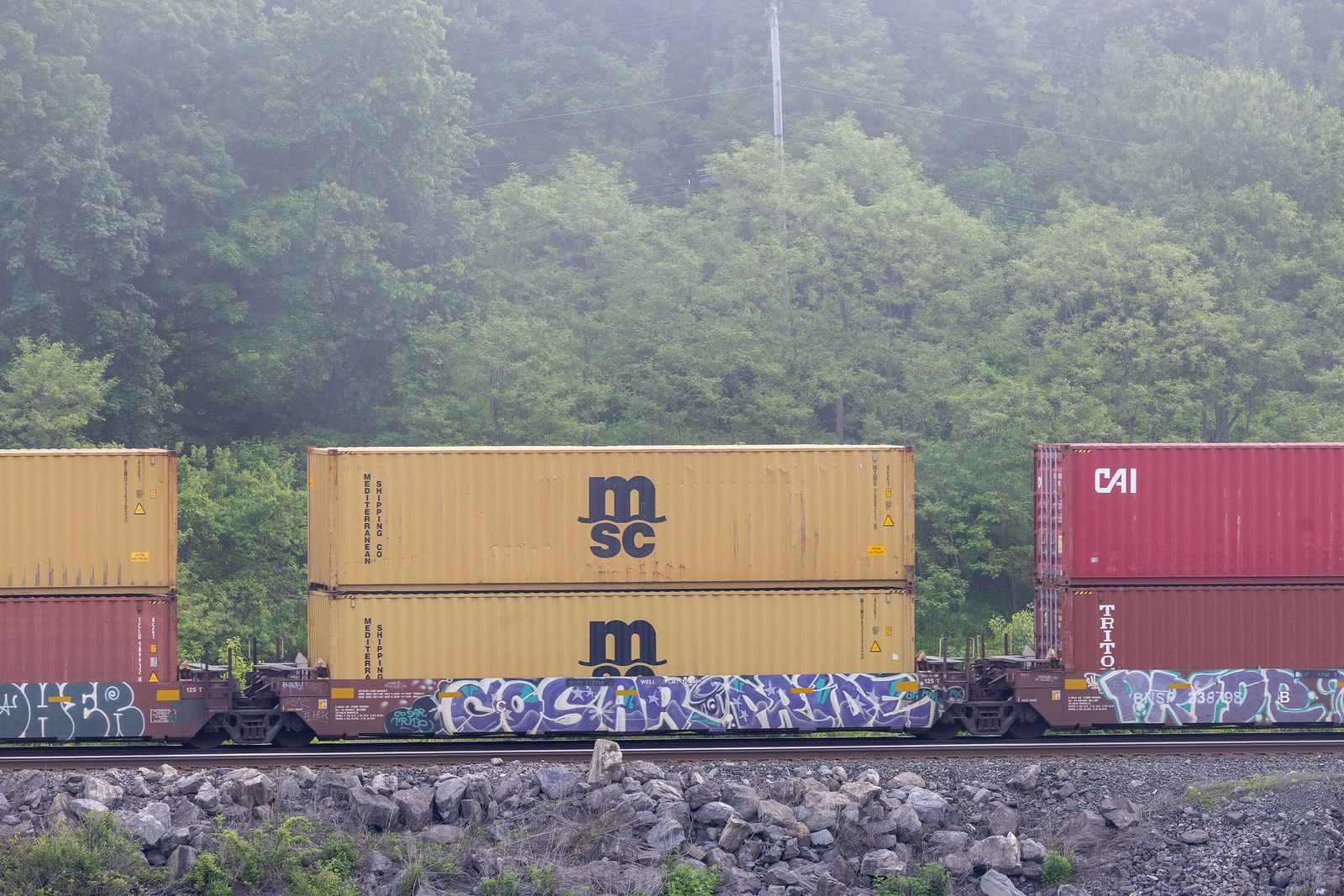 BNSF 238798C