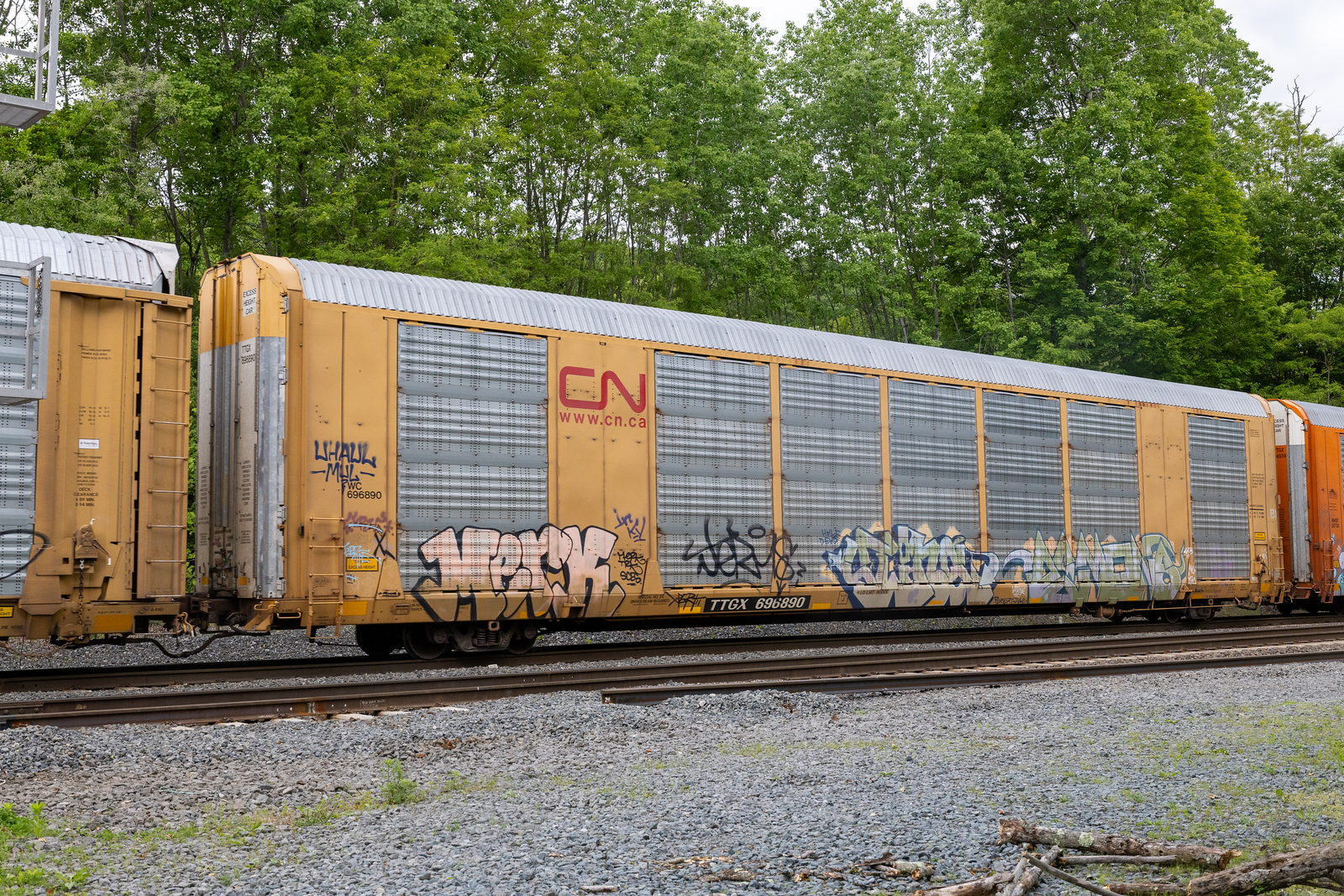 TTGX 696890