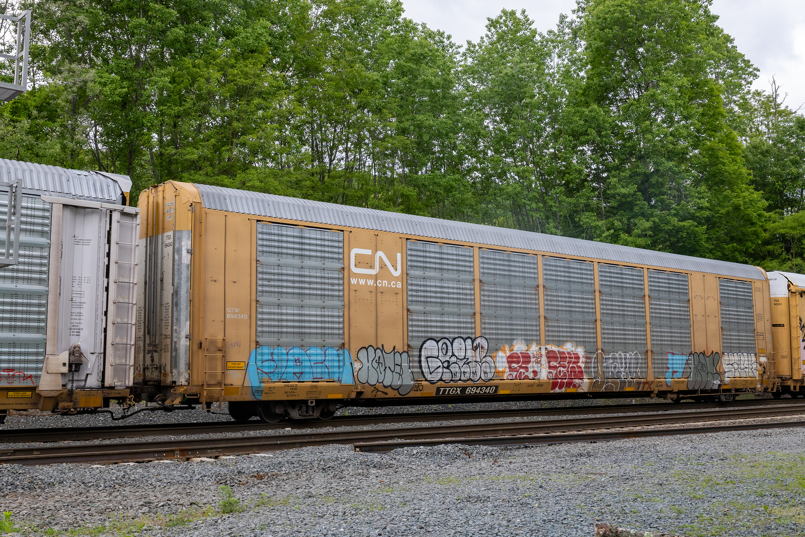 TTGX 694340