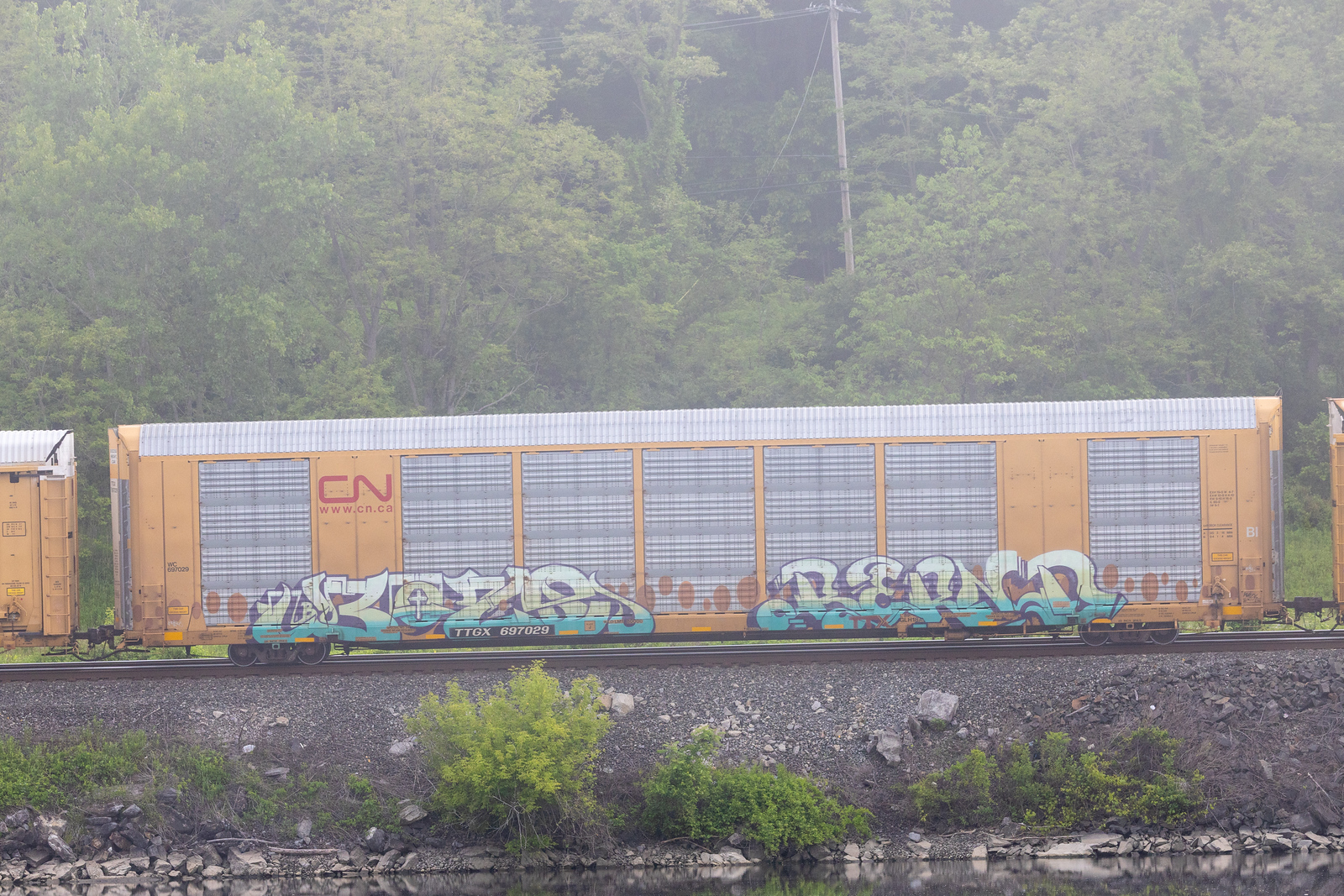 TTGX 697029