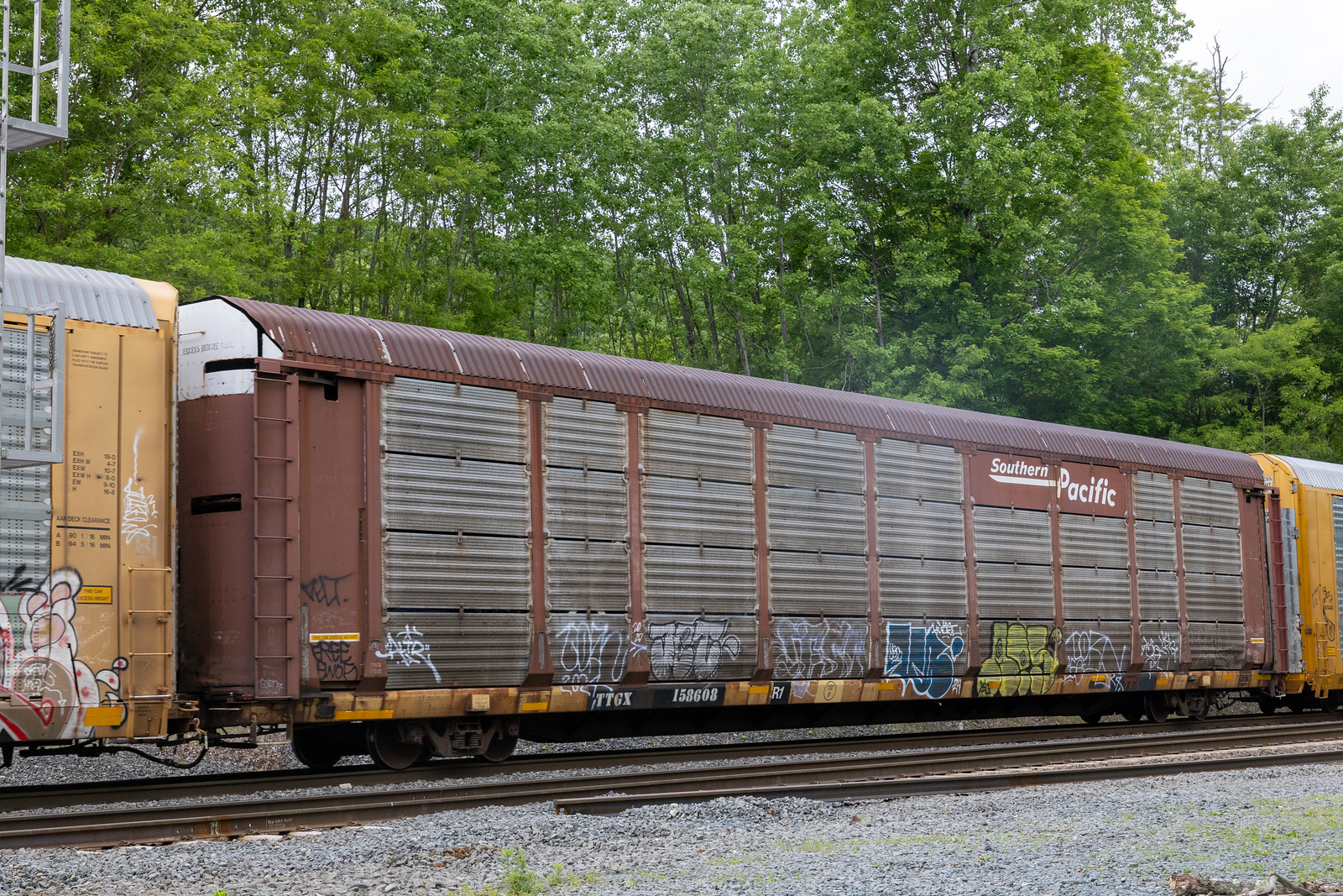 TTGX 158608
