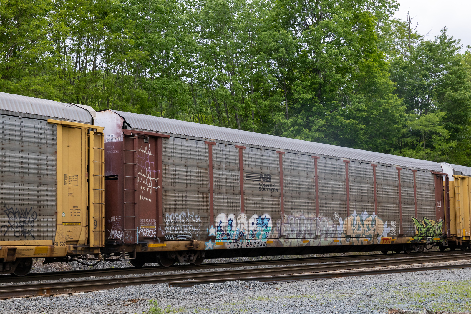 TTGX 992338